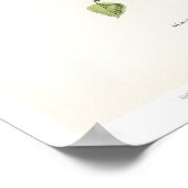 Vintage Vogeldarstellung - Siskin Poster (Ecke)