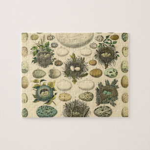 Vintage-Vogelei-Nest-Kunstmalerei-Eier Puzzle
