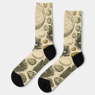 Vintage-Vogelei-Nest-Kunstmalerei Naturgeschichte Socken