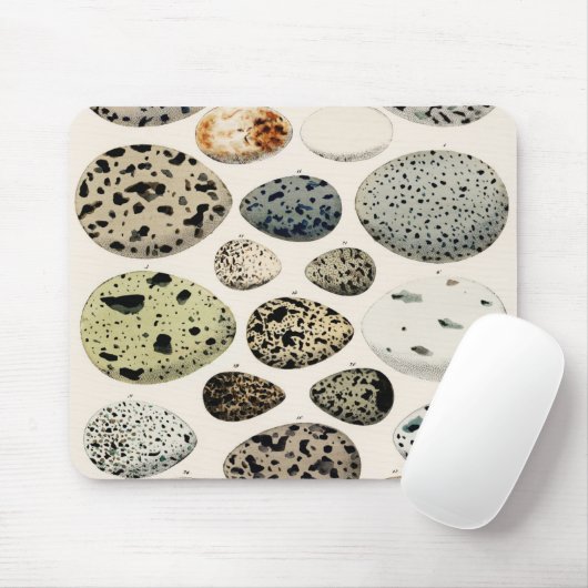 Vintage Vogeleier-Abbildung Mousepad (Mit Mouse)