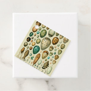 Vintage-Vogeleier Französische Fischeier-Kunst Geschenkanhänger