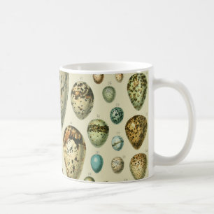Vintage-Vogeleier Französische Fischeier-Kunst Kaffeetasse