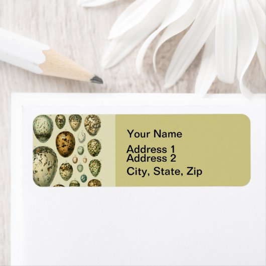 Vintage Vogeleier - Französisches Fischeier Art (Insitu)