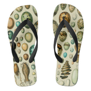 Vintage Vogeleier - Französisches Fischeier Art Badesandalen