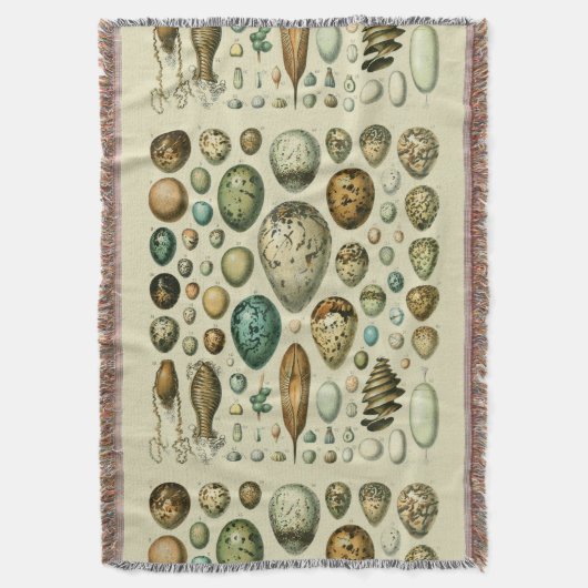 Vintage Vogeleier - Französisches Fischeier Art Decke (Vorderseite Vertikal)