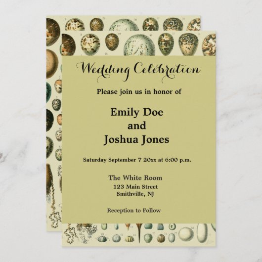 Vintage Vogeleier - Französisches Fischeier Art Einladung (Vorne/Hinten)