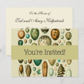 Vintage Vogeleier - Französisches Fischeier Art Einladung (Vorne/Hinten)