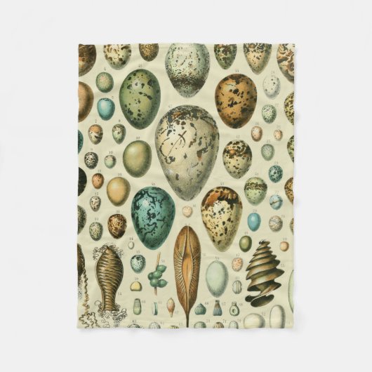 Vintage Vogeleier - Französisches Fischeier Art Fleecedecke (Vorderseite)