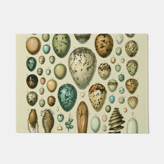 Vintage Vogeleier - Französisches Fischeier Art Fußmatte (Vorderseite)