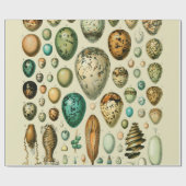 Vintage Vogeleier - Französisches Fischeier Art Geschenkpapier (Flach)