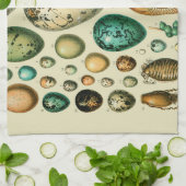 Vintage Vogeleier - Französisches Fischeier Art Geschirrtuch (Gefaltet)