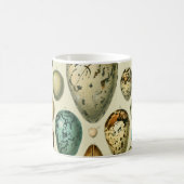 Vintage Vogeleier - Französisches Fischeier Art Kaffeetasse (Mittel)