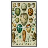 Vintage Vogeleier - Französisches Fischeier Art Kleine Geschenktüte (Rückseite)