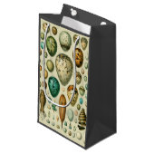 Vintage Vogeleier - Französisches Fischeier Art Kleine Geschenktüte (Vorderseite Schrägansicht)