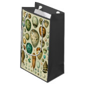 Vintage Vogeleier - Französisches Fischeier Art Kleine Geschenktüte (Rückseite Schrägansicht)