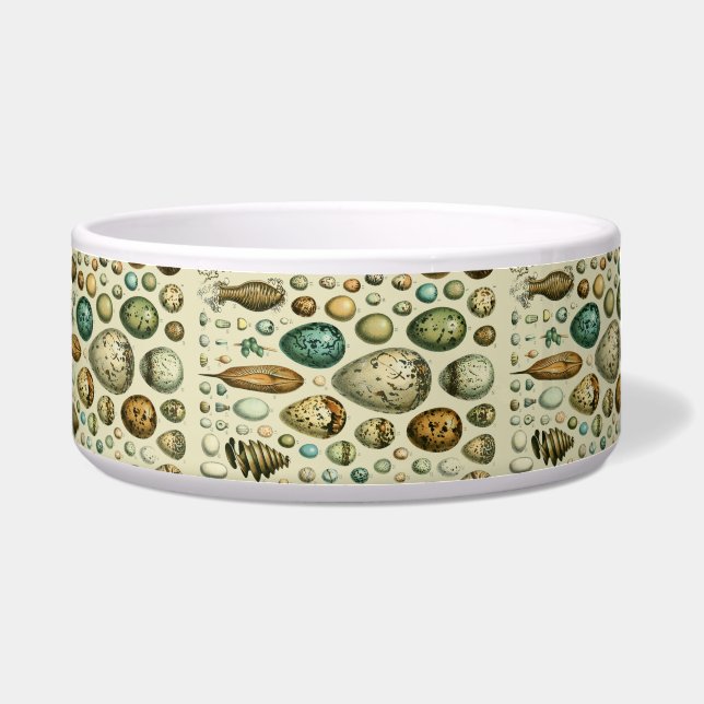 Vintage Vogeleier - Französisches Fischeier Art Napf (Vorderseite)