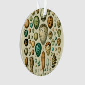 Vintage Vogeleier - Französisches Fischeier Art Ornament (Vorderseite)