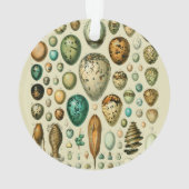 Vintage Vogeleier - Französisches Fischeier Art Ornament (Rückseite)