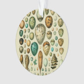 Vintage Vogeleier - Französisches Fischeier Art Ornament (Vorderseite)