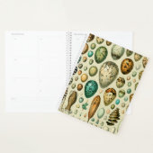 Vintage Vogeleier - Französisches Fischeier Art Planer (Anzeige)