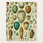 Vintage Vogeleier - Französisches Fischeier Art Planer (Vorderseite)