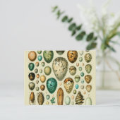 Vintage Vogeleier - Französisches Fischeier Art Postkarte (Stehend Vorderseite)