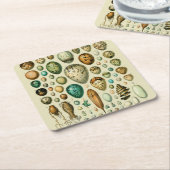 Vintage Vogeleier - Französisches Fischeier Art Rechteckiger Pappuntersetzer (angewinkelt)