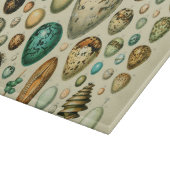 Vintage Vogeleier - Französisches Fischeier Art Schneidebrett (Ecke)