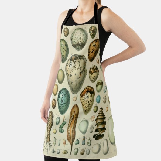 Vintage Vogeleier - Französisches Fischeier Art Schürze (InSitu)