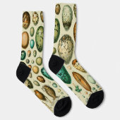 Vintage Vogeleier - Französisches Fischeier Art Socken (Rechts)