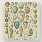 Vintage Vogeleier - Französisches Fischeier Art Steinuntersetzer (Vorderseite)