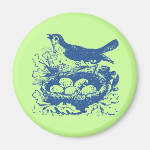 Vintage-Vogeleier & Nest Magnet