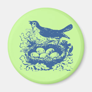 Vintage Vogeleier & Nest Magnet