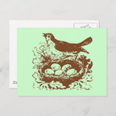 Vintage Vogeleier & Nest Postkarte (Vorne/Hinten)