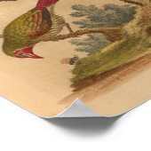 Vintage Vogelgrüne Rotdrucke Poster (Ecke)