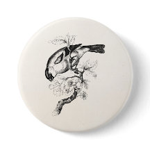 Vintage-Vogelillustration des 19. Jahrhunderts - V