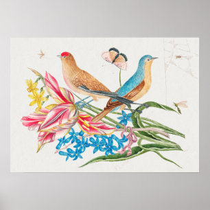 Vintage-Vogelillustration Poster