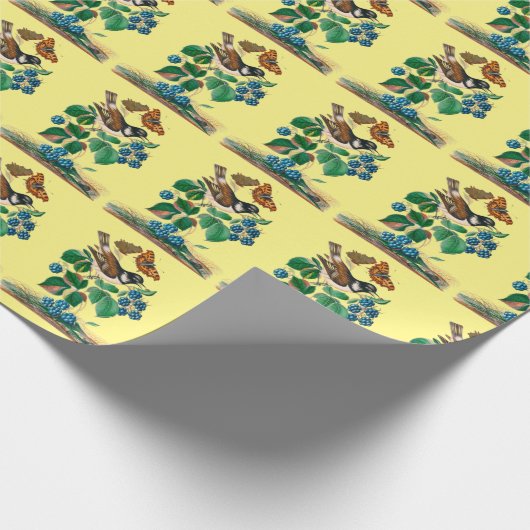 Vintage Vogelkunst Geschenkpapier (Ecke)