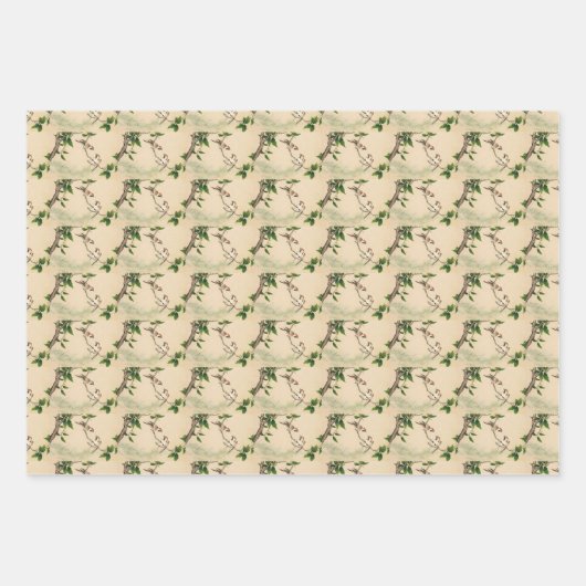 Vintage Vogelkunst Geschenkpapier Set (Vorderseite 3)