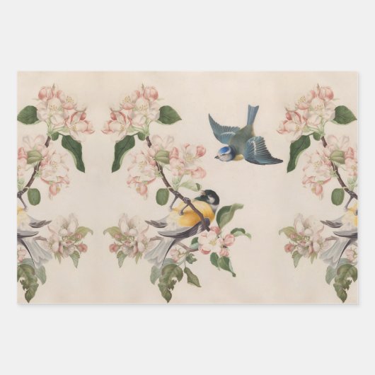 Vintage Vogelkunst Geschenkpapier Set (Vorderseite 3)