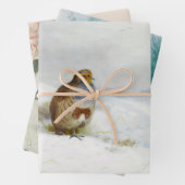 Vintage Vogelkunst Geschenkpapier Set (Beispiel)