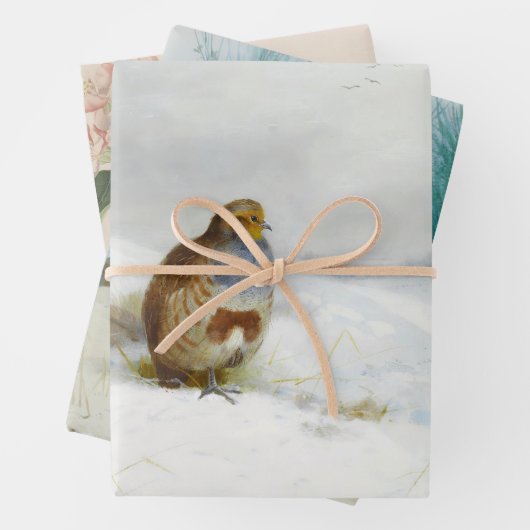 Vintage Vogelkunst Geschenkpapier Set (Beispiel)