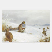 Vintage Vogelkunst Geschenkpapier Set (Vorderseite)