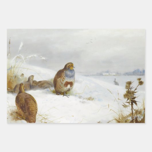 Vintage Vogelkunst Geschenkpapier Set (Vorderseite)