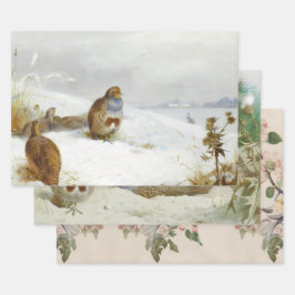 Vintage Vogelkunst Geschenkpapier Set