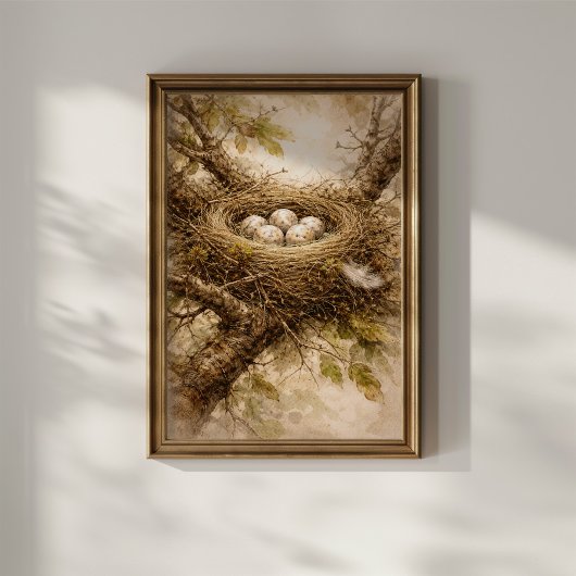 Vintage Vogelnest mit Eiern Poster