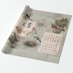 Vintage-Vogelnest-Schrift-Ephemera-Eier-Decoupage Geschenkpapier