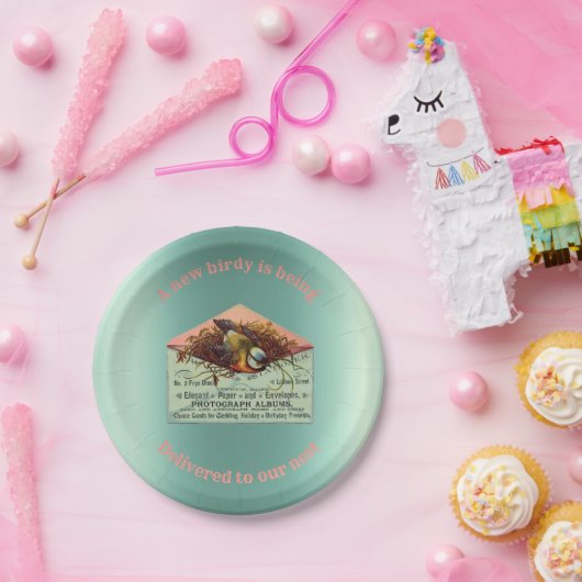 Vintage Vogelnistendusche Pappteller (Party)