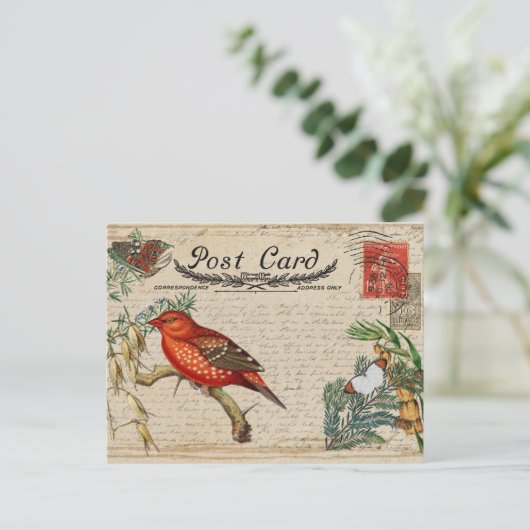 Vintage Vogelpostkarte Postkarte (Stehend Vorderseite)