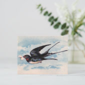 Vintage Vogelpostkarte Postkarte (Stehend Vorderseite)